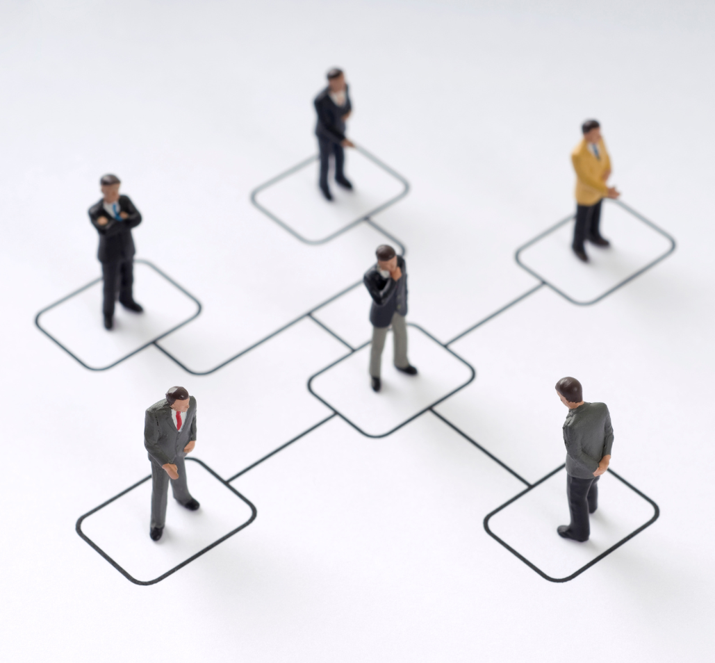 Organizational Chart